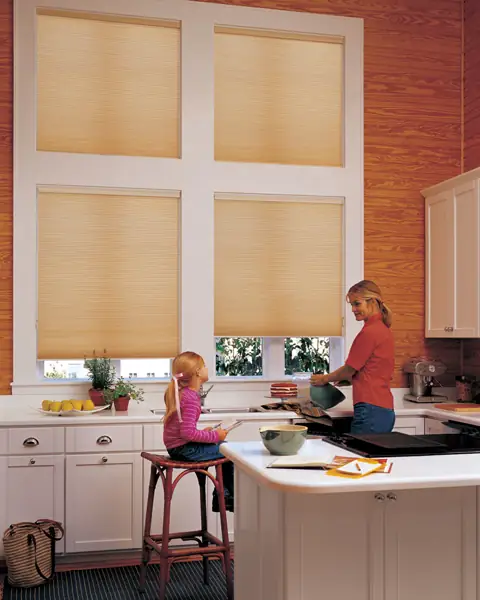 Cellular Shades photo 90 of 90
